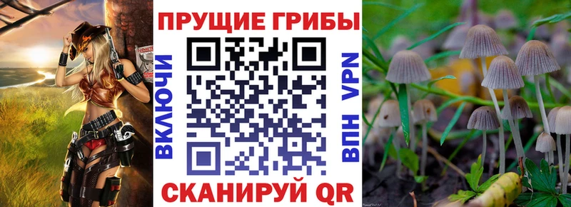 как найти   Лесозаводск  сайты даркнета Telegram  Галлюциногенные грибы Magic Shrooms 