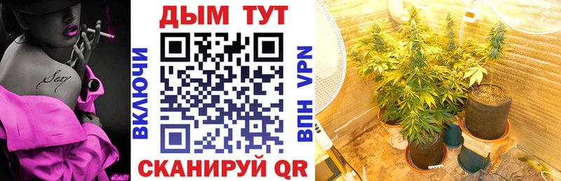 цены   Лесозаводск  Канабис сатива 